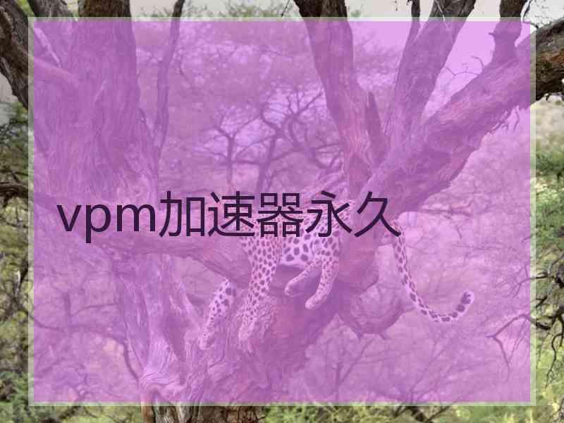 vpm加速器永久