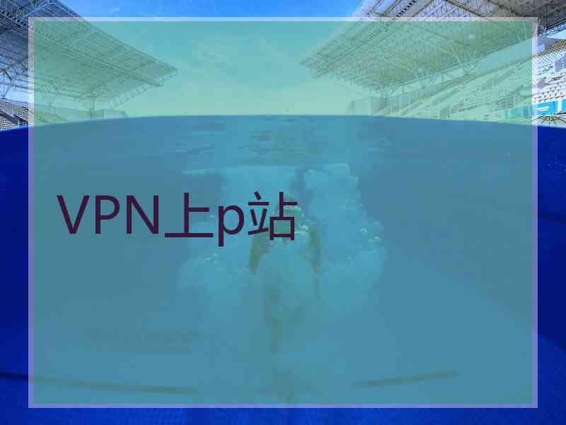 VPN上p站