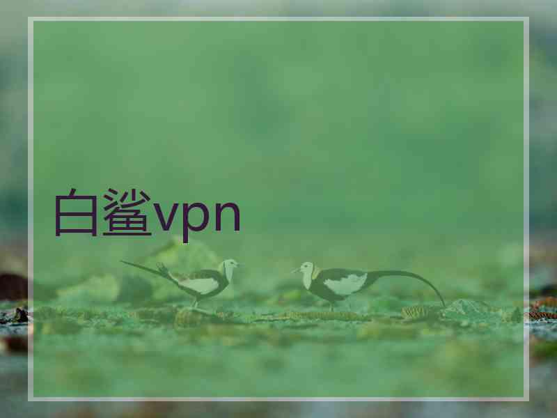 白鲨vpn