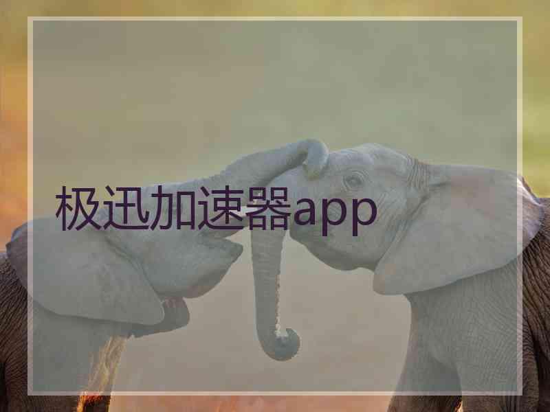 极迅加速器app