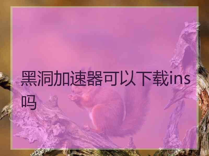 黑洞加速器可以下载ins吗