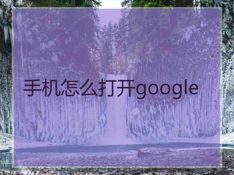 手机怎么打开google