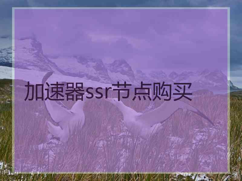 加速器ssr节点购买