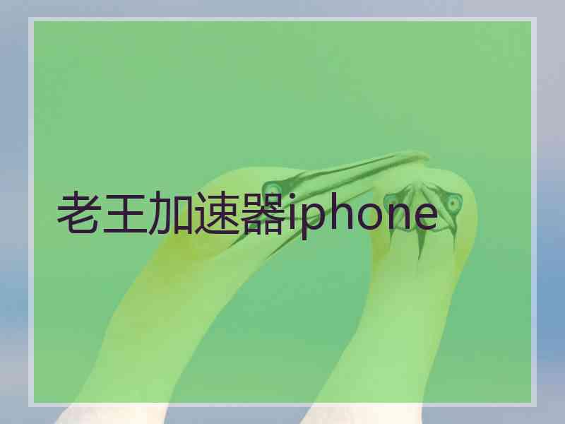 老王加速器iphone