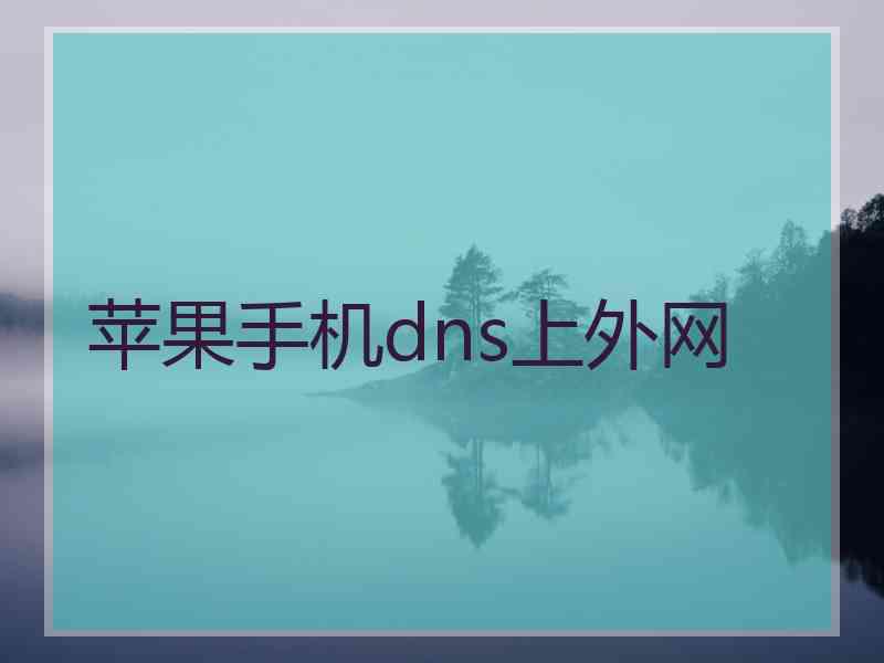 苹果手机dns上外网