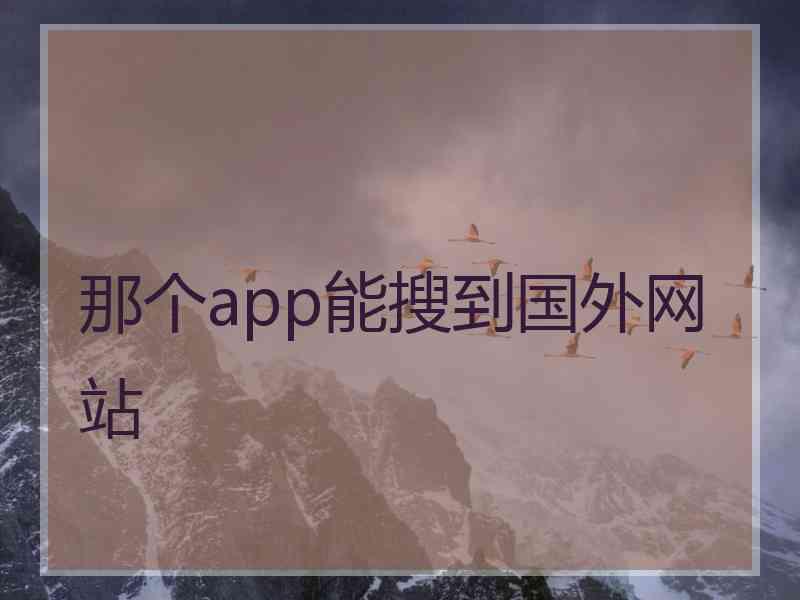 那个app能搜到国外网站