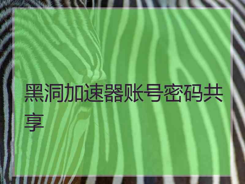 黑洞加速器账号密码共享