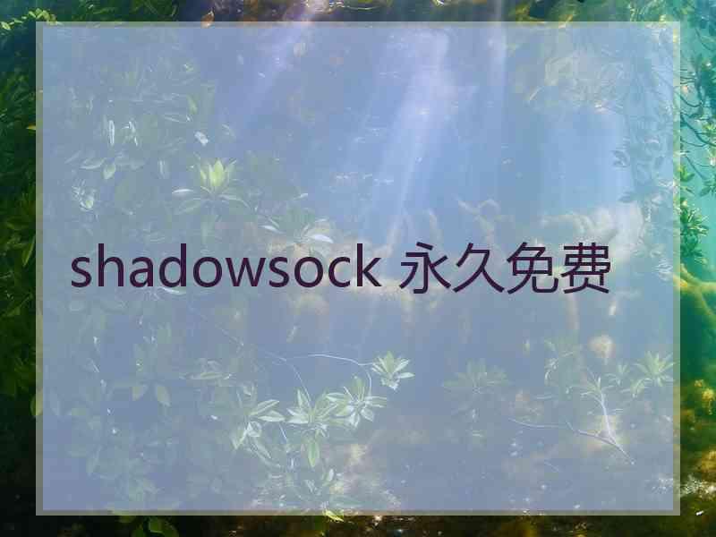 shadowsock 永久免费