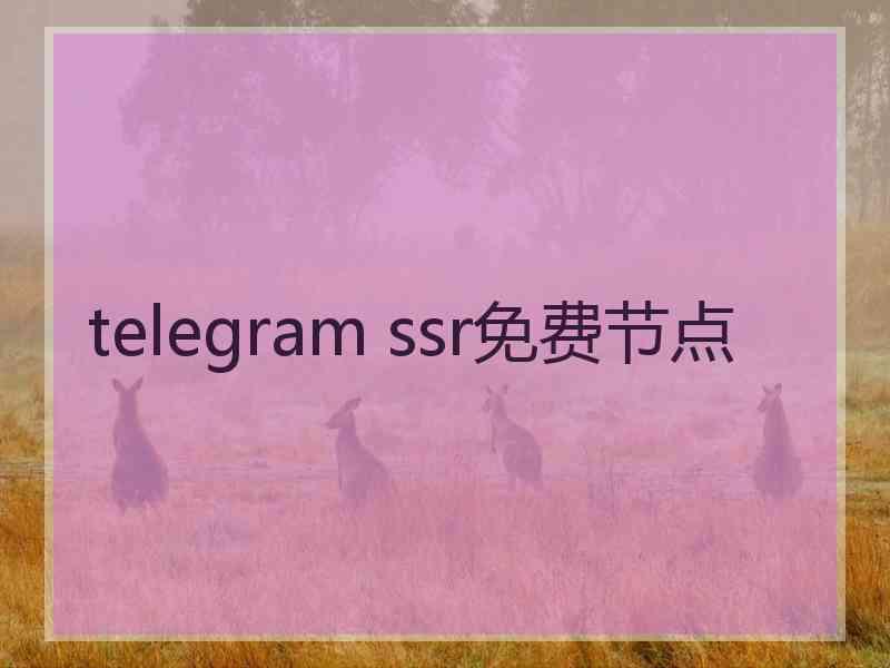 telegram ssr免费节点