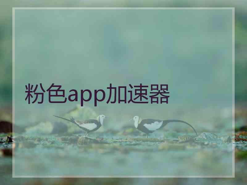 粉色app加速器