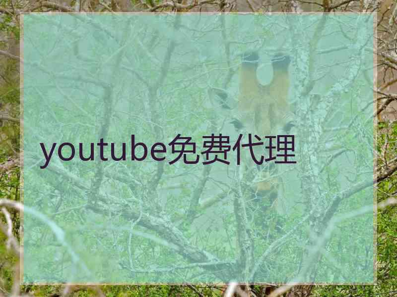 youtube免费代理