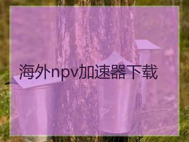 海外npv加速器下载