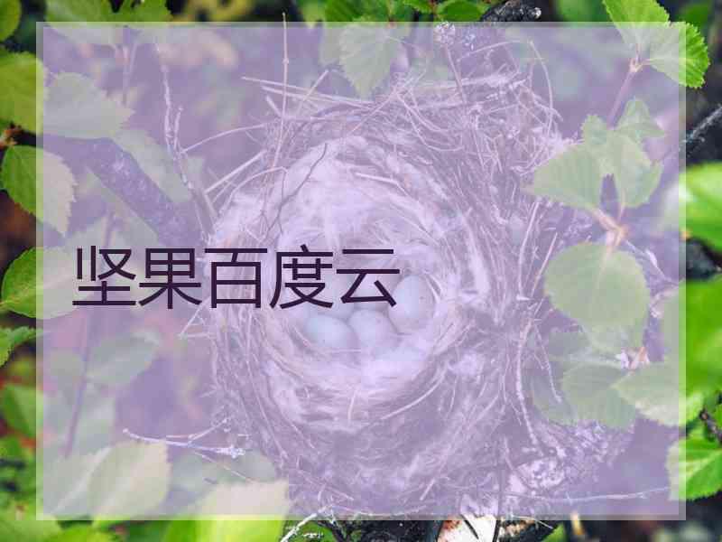 坚果百度云