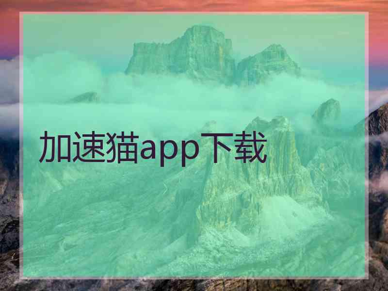 加速猫app下载