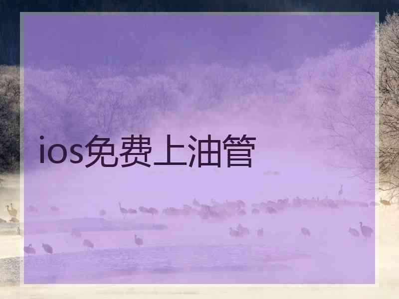 ios免费上油管