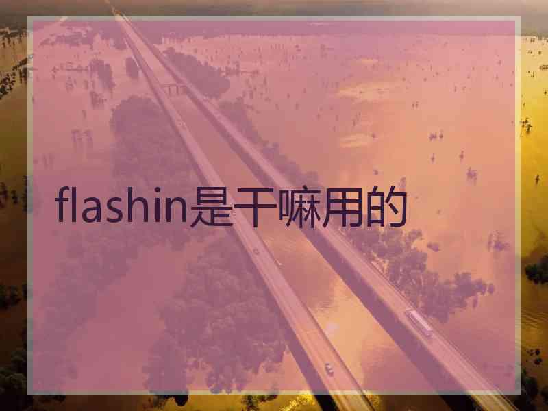 flashin是干嘛用的